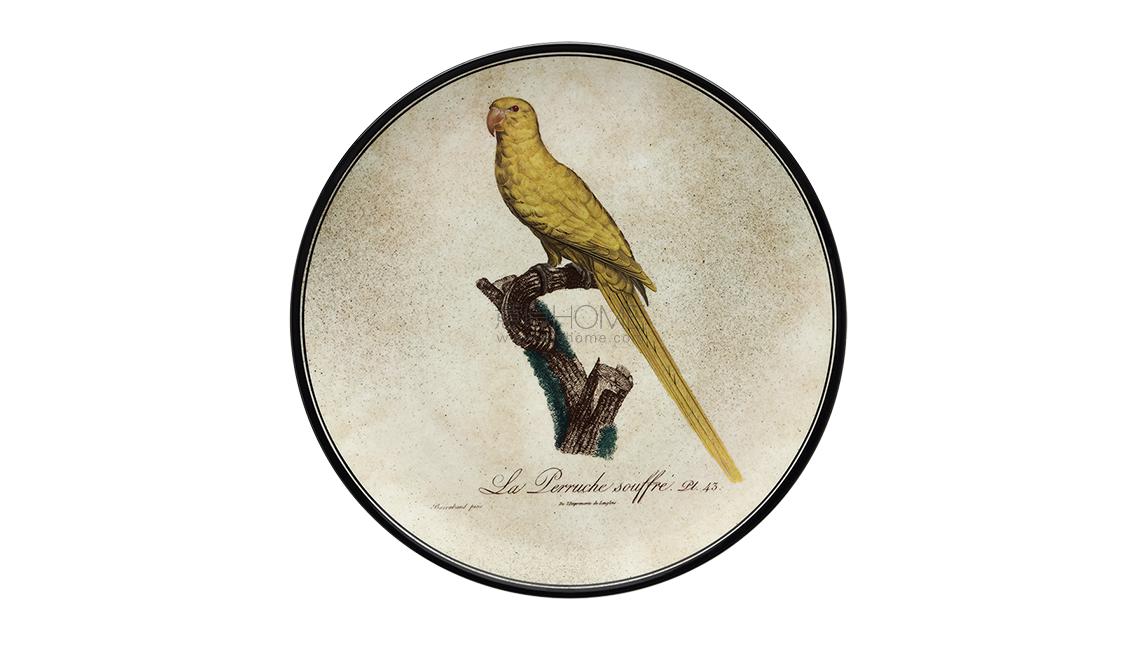 PIATTO DA MURO11盘子