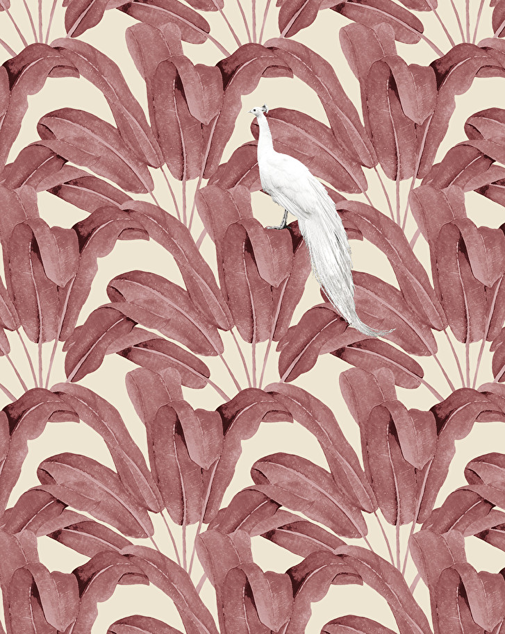 Devon&DevonParadisea Red Wallpaper墙纸